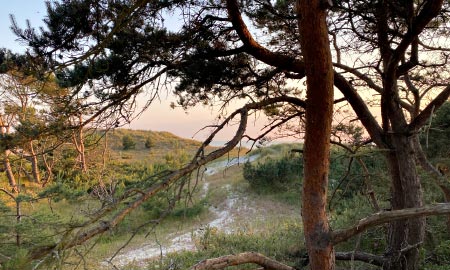 Strandweg Strandweg zur Ostsee